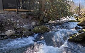 Ivy's Cottage, Pickleball Court, Creek, Wifi, Mountain Views, Starting At 79